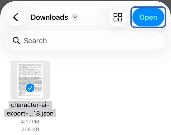 The file chosen in Downloads, with Open outlined